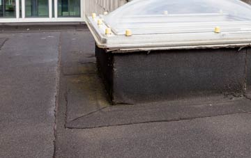 disadvantages of Treveal flat roofs
